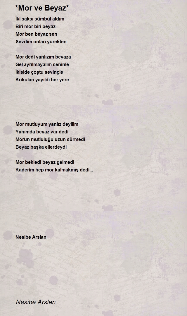 Nesibe Arslan