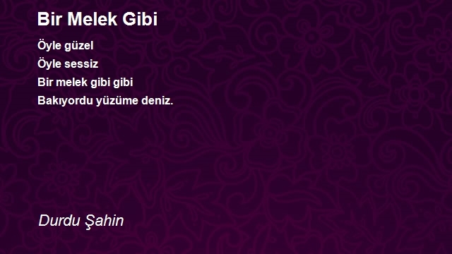 Durdu Şahin
