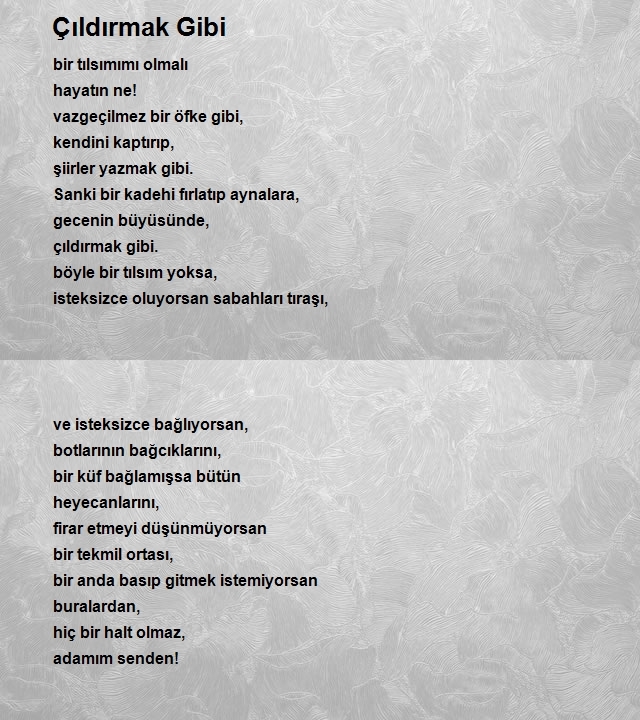 Deniz Demirci