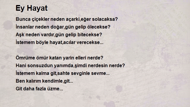 Sibel Altıntaş