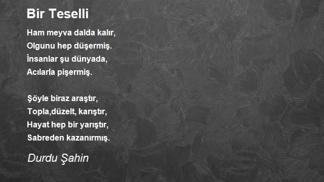 Durdu Şahin