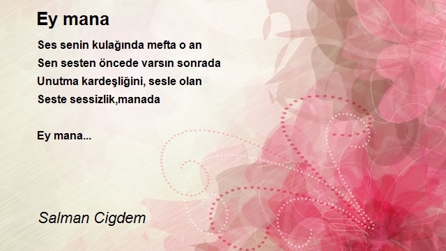 Salman Cigdem