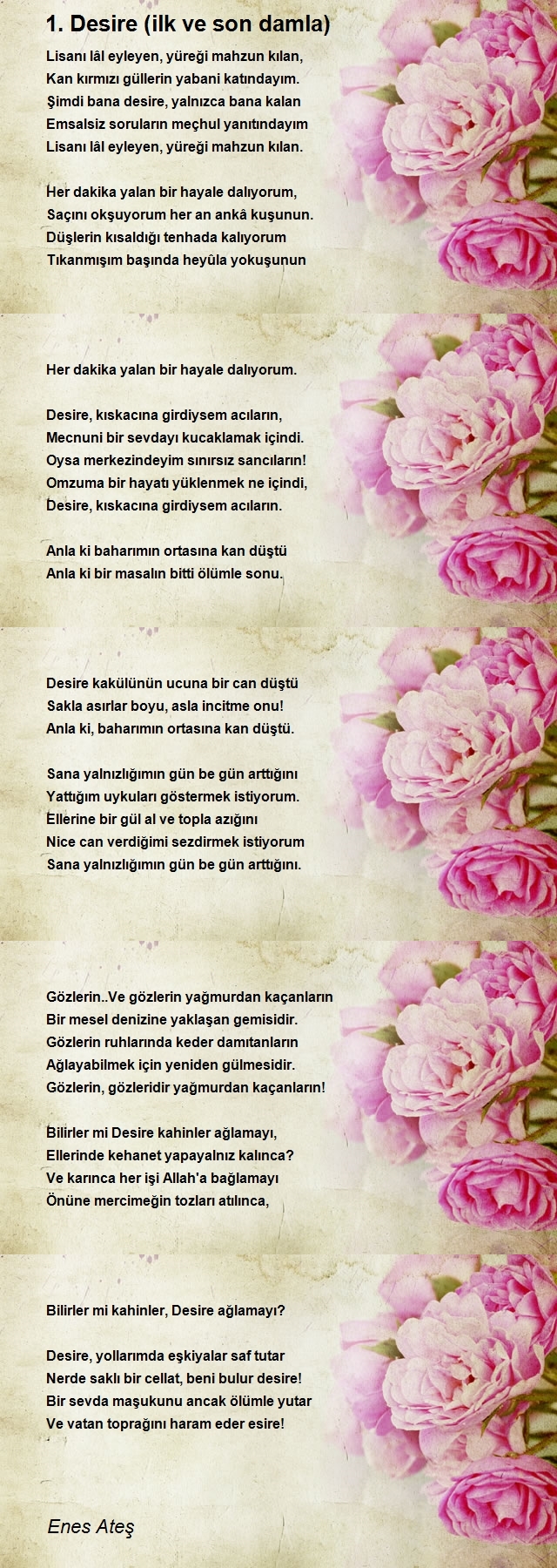 Enes Ateş