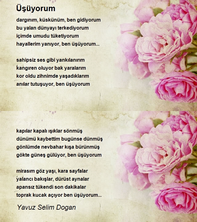 Yavuz Selim Dogan