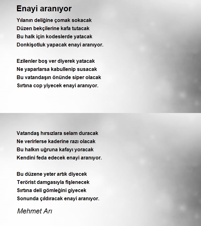 Mehmet Arı