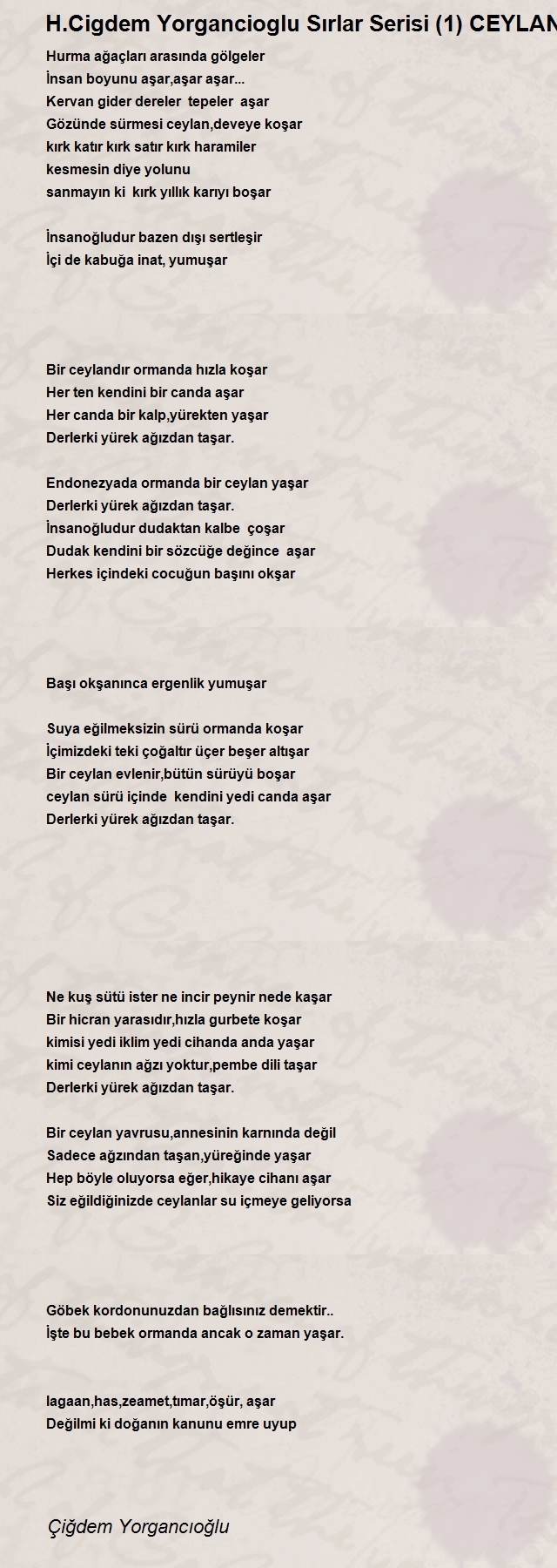 Çiğdem Yorgancıoğlu
