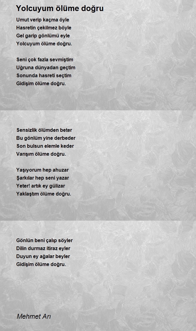Mehmet Arı