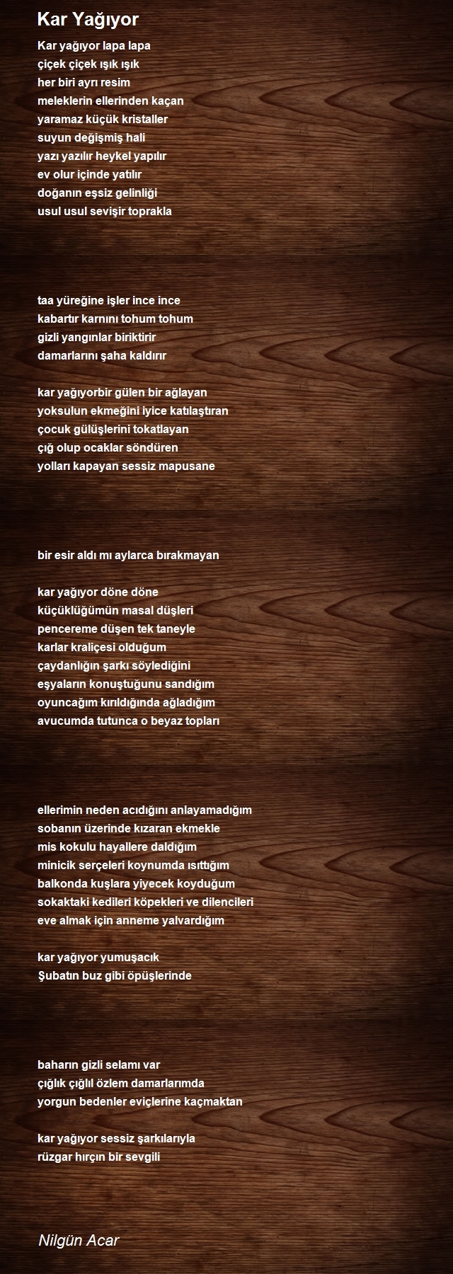 Nilgün Acar