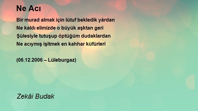 Zekâi Budak