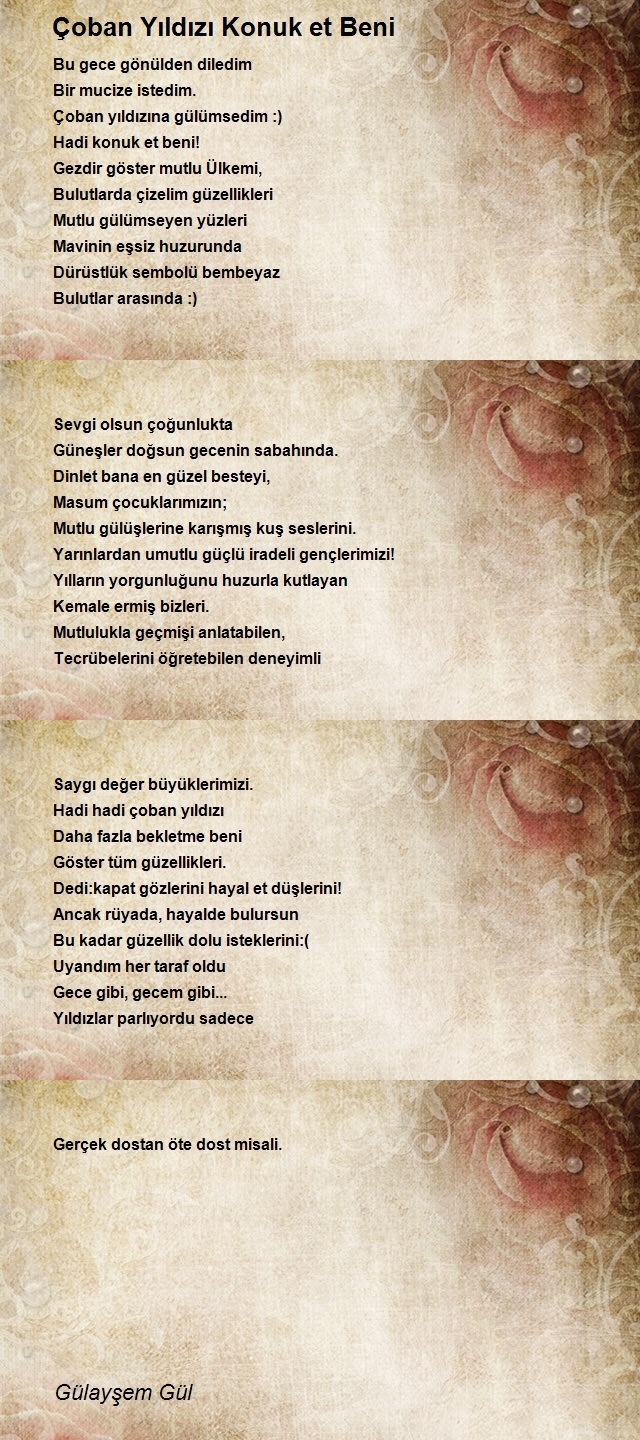 Ayşe Ergen