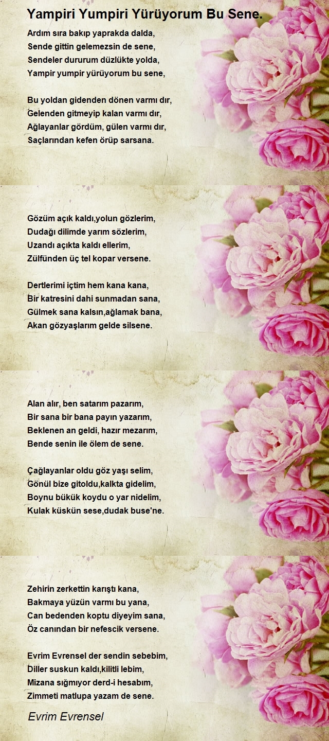 Evrim Evrensel