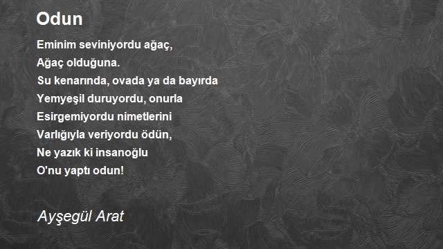 Ayşegül Arat