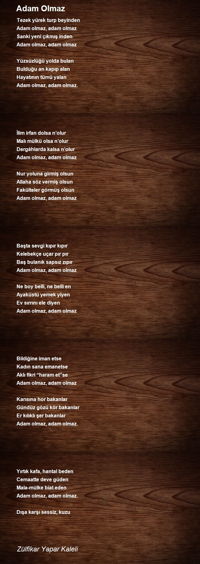 Zülfikar Yapar Kaleli