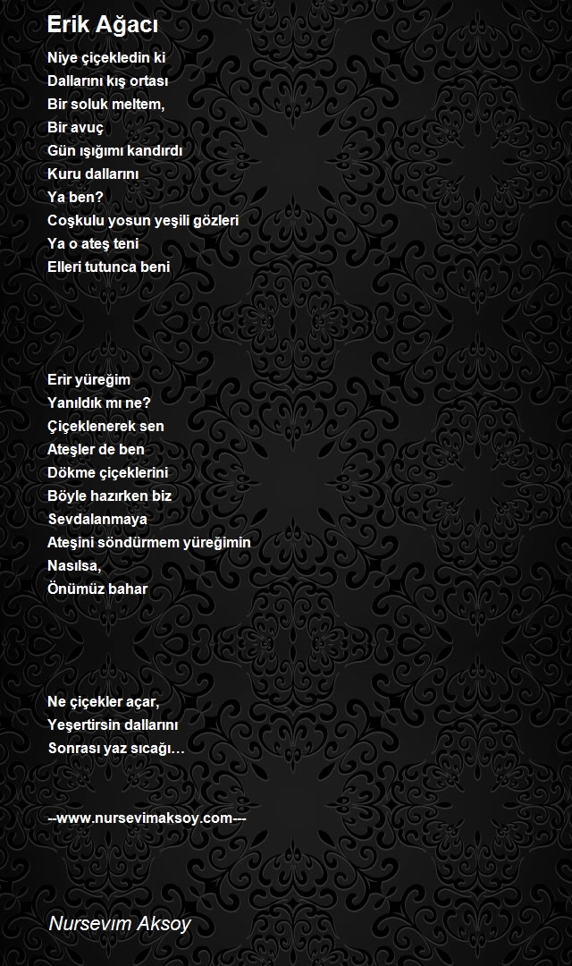 Nursevım Aksoy