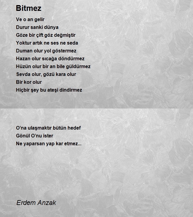 Erdem Anzak