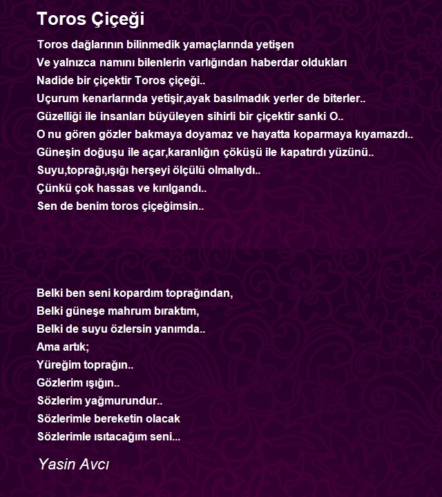 Yasin Avcı