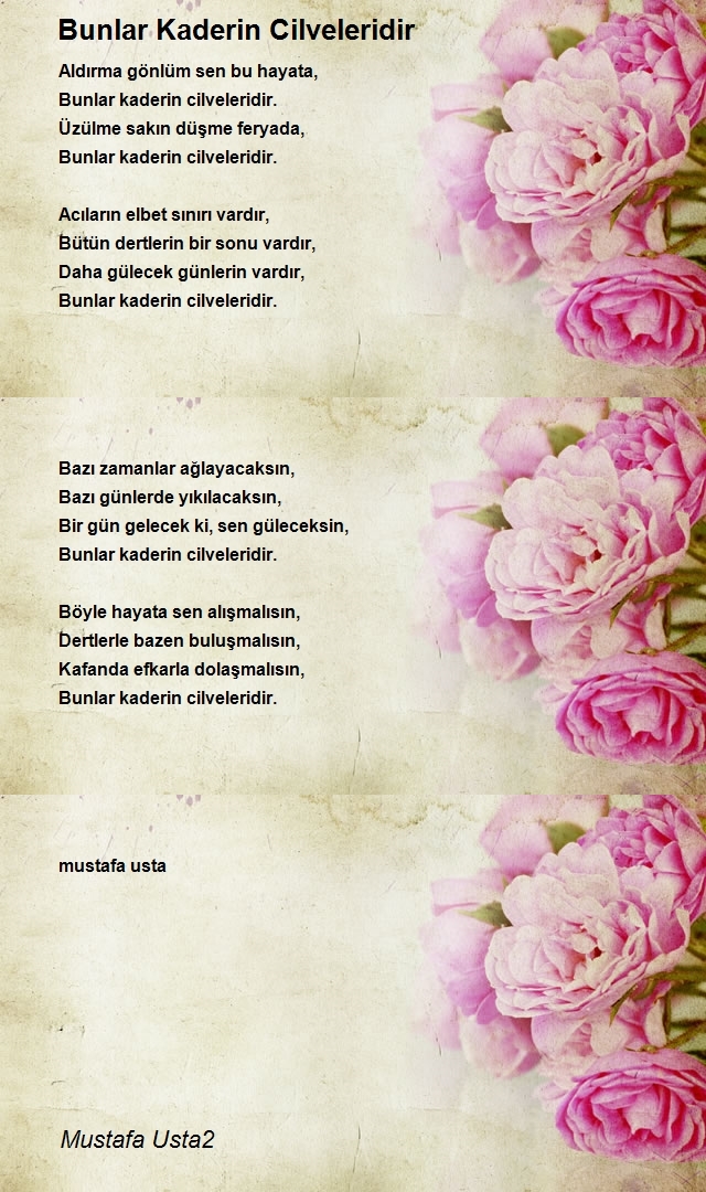 Mustafa Usta2