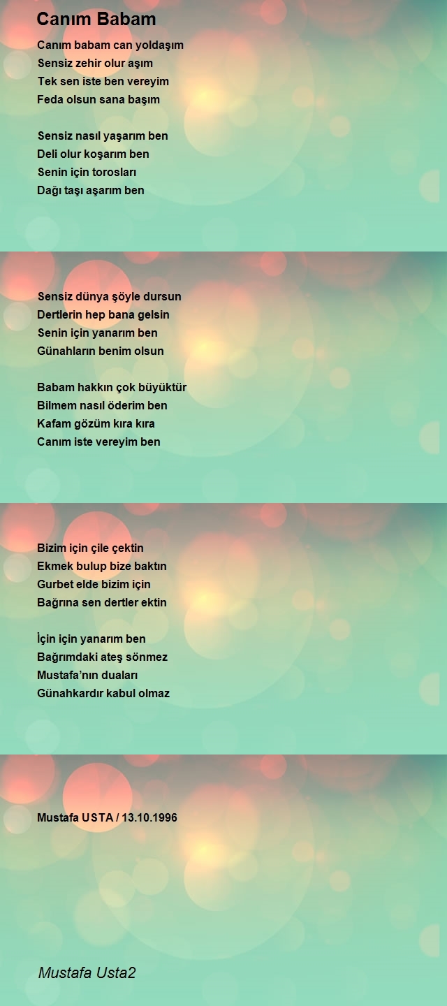 Mustafa Usta2