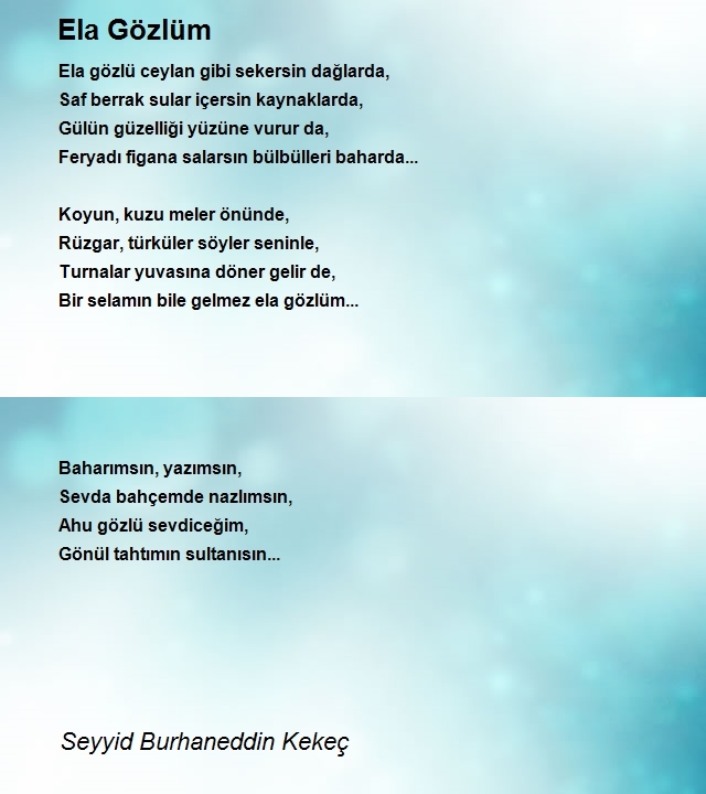 Seyit Burhaneddin Kekeç