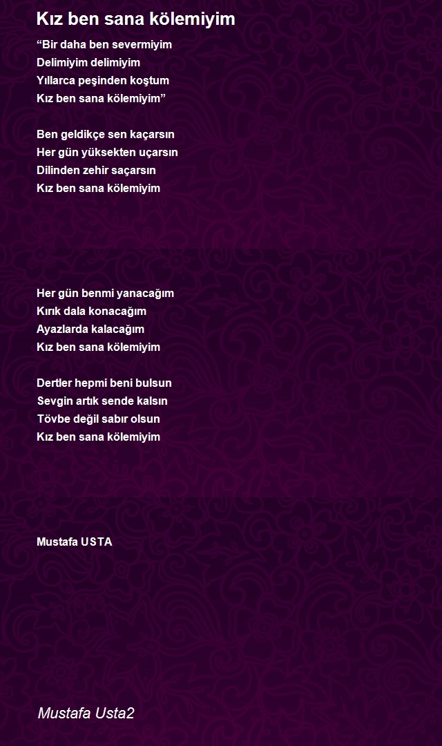 Mustafa Usta2