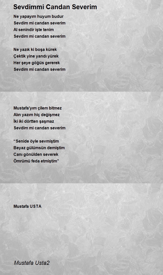 Mustafa Usta2