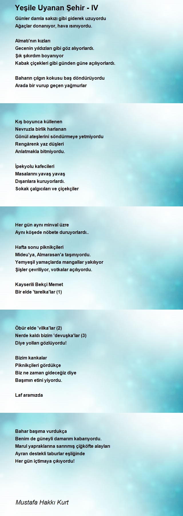 Mustafa Hakkı Kurt