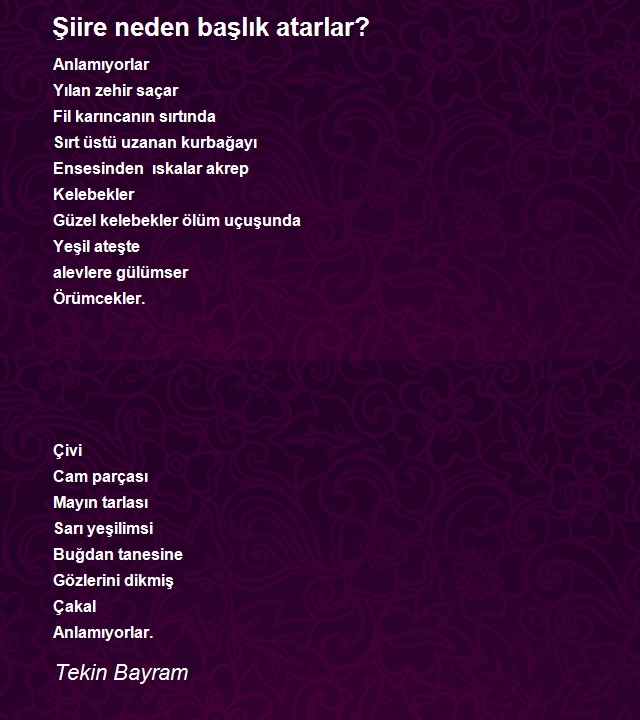 Tekin Bayram
