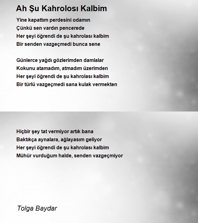 Tolga Baydar