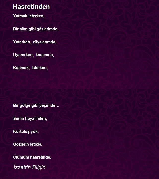 İzzettin Bilgin
