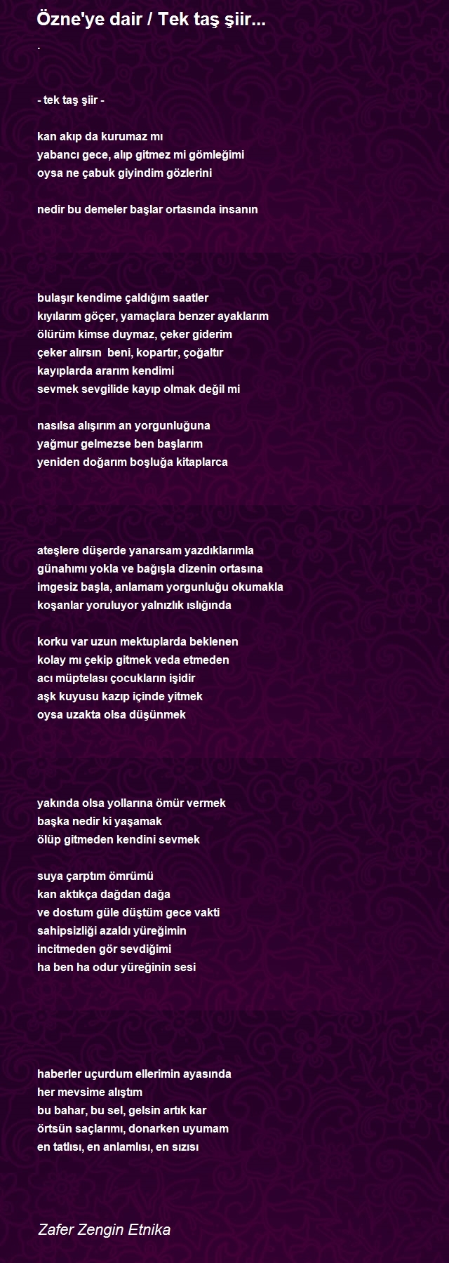 Zafer Zengin Etnika