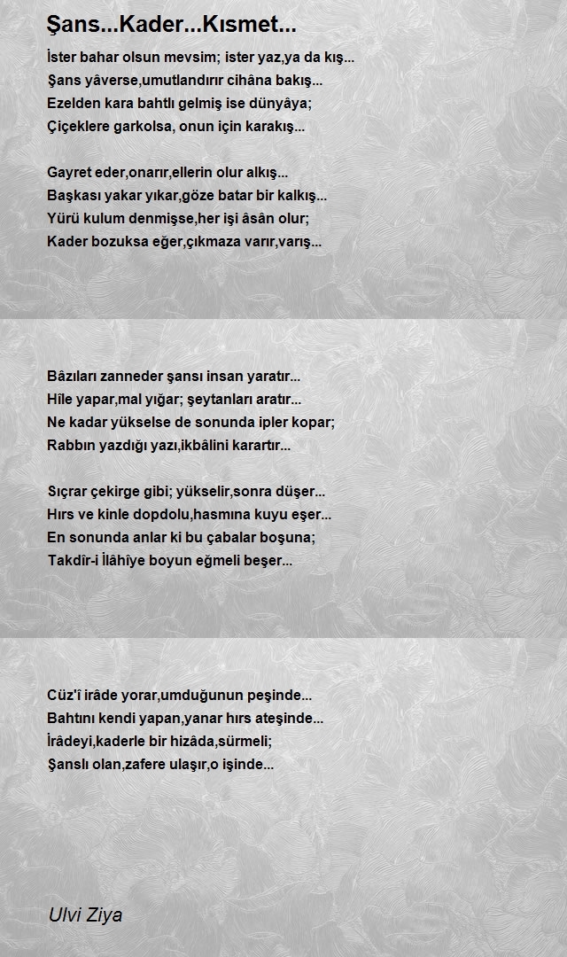Ulvi Ziya