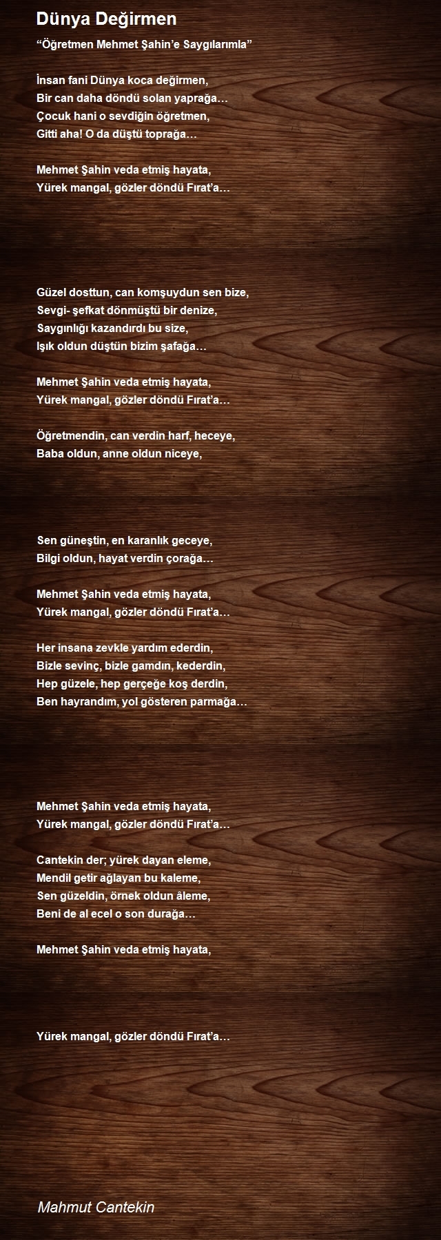 Mahmut Cantekin