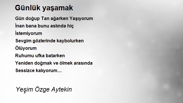 Yeşim Özge Aytekin