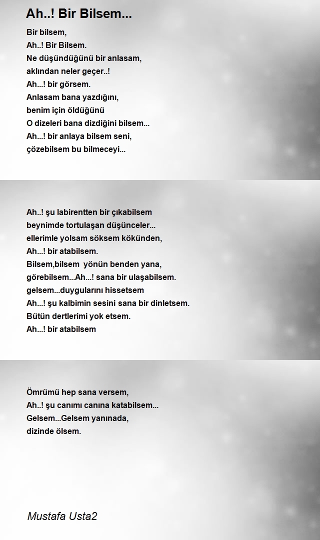 Mustafa Usta2