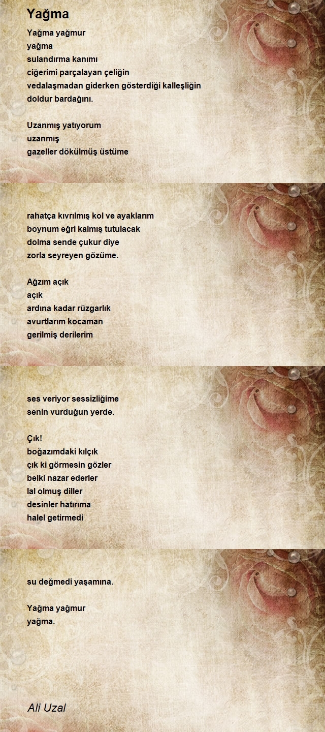 Ali Uzal