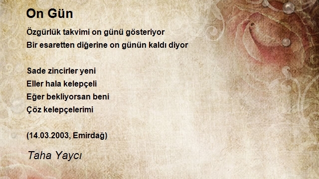 Taha Yaycı
