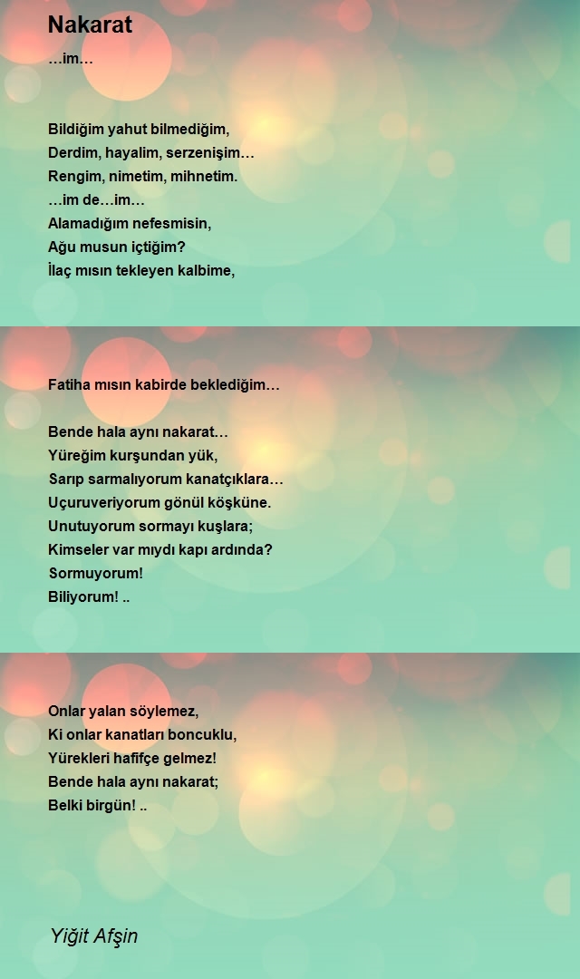 Yiğit Afşin