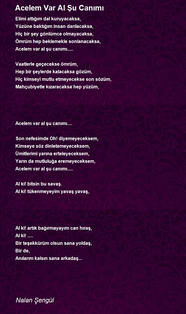 Nalan Şengül