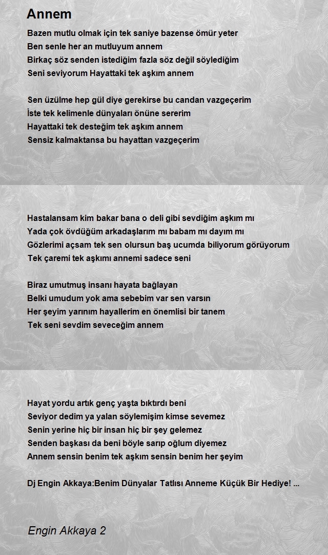 Engin Akkaya 2