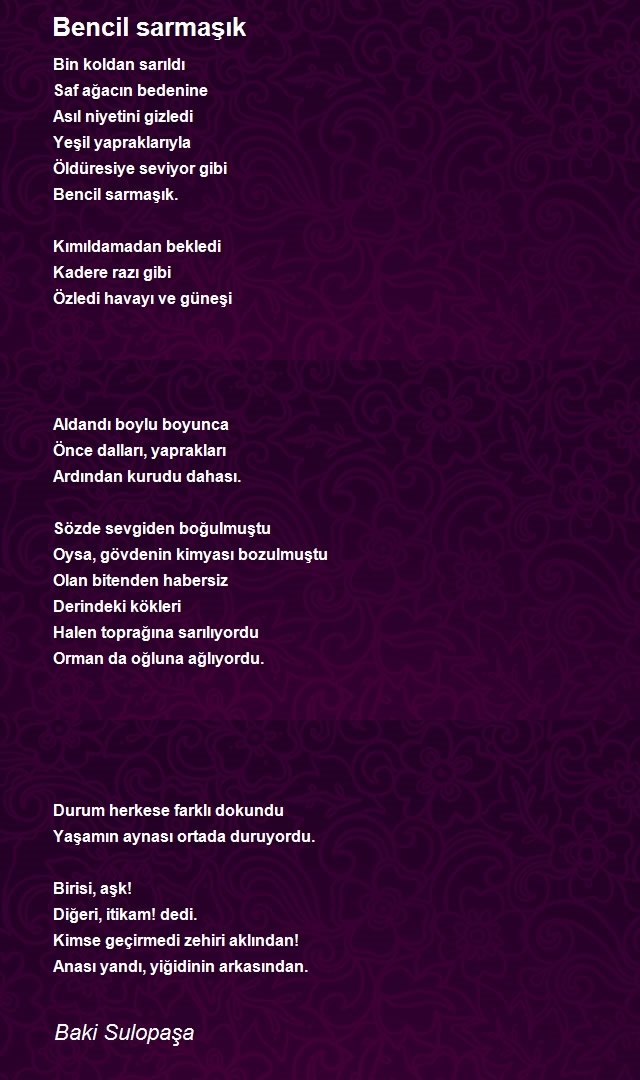 Baki Sulopaşa