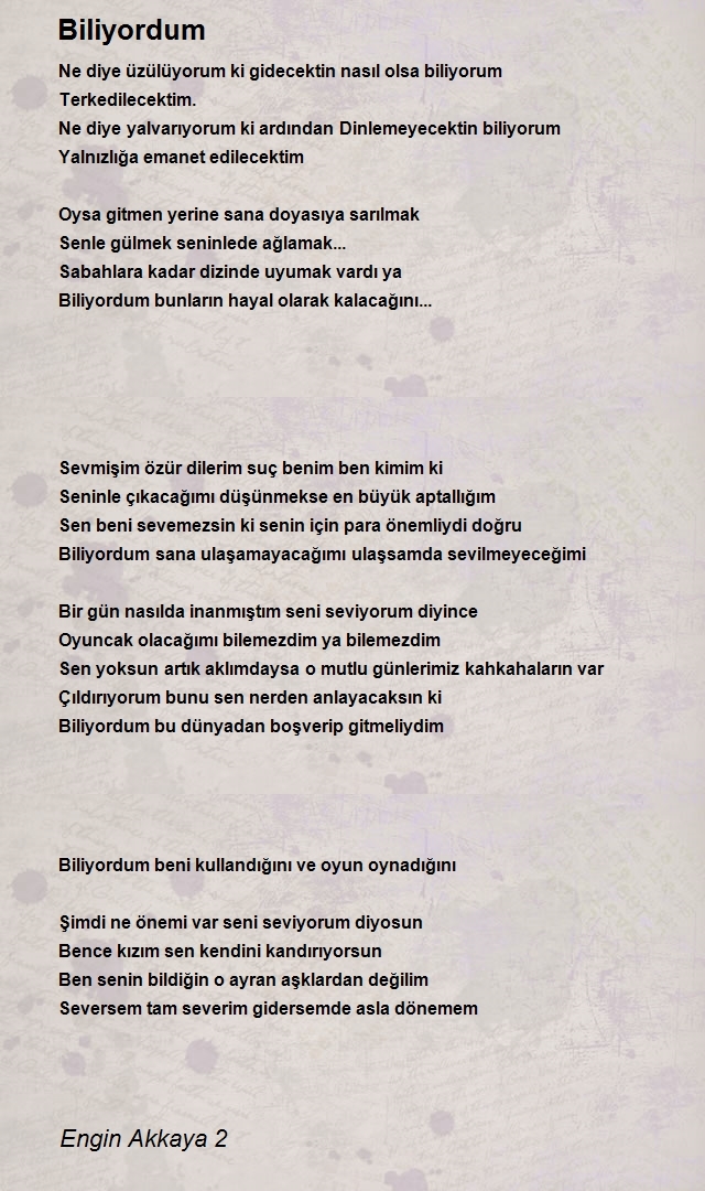 Engin Akkaya 2