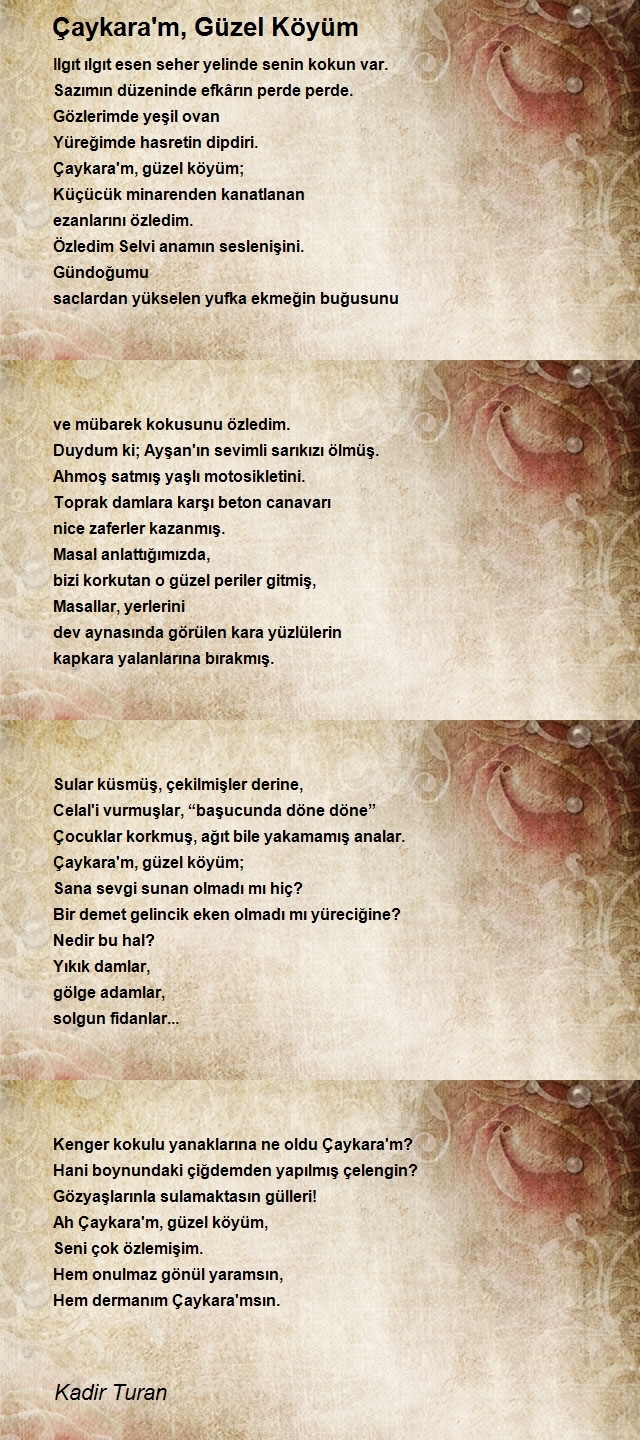 Kadir Turan