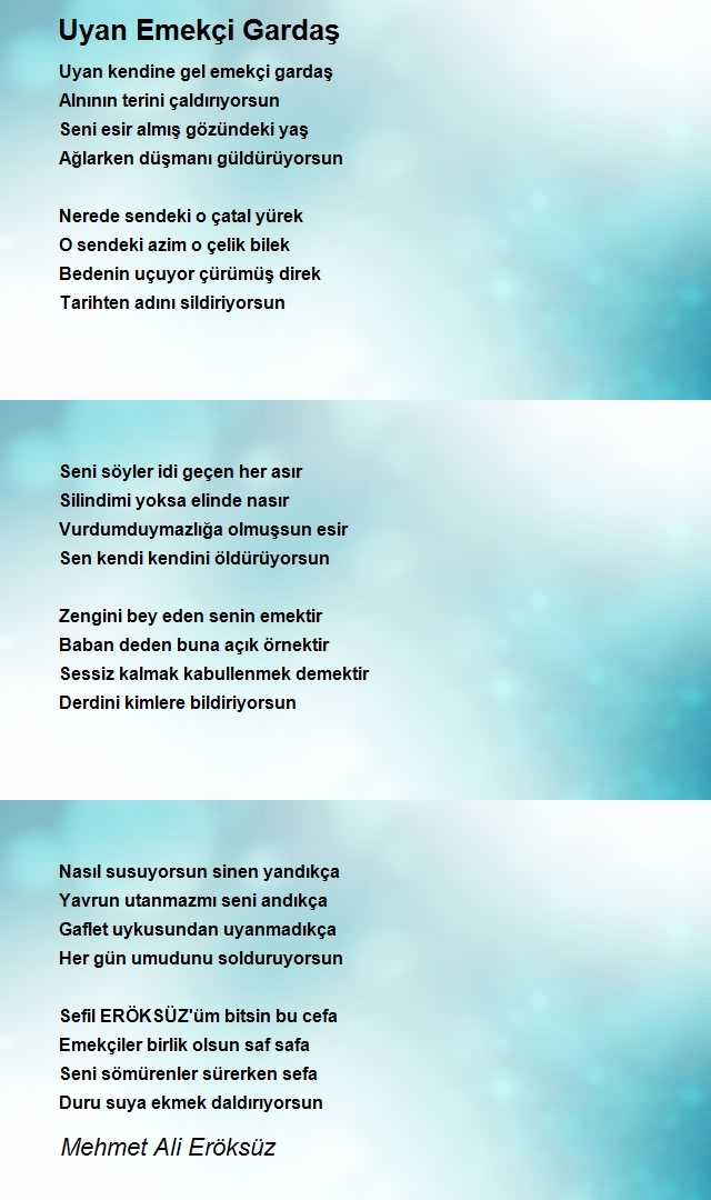 Mehmet Ali Eröksüz