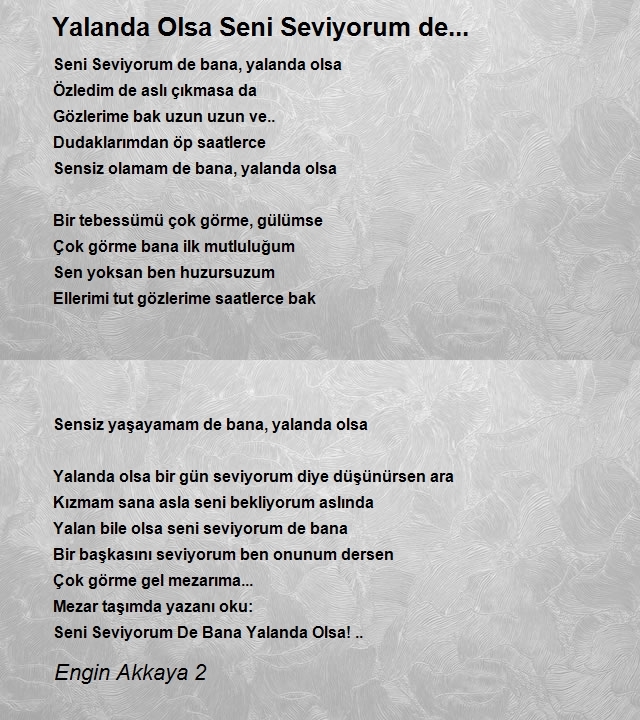 Engin Akkaya 2