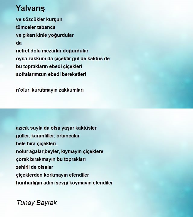 Tunay Bayrak