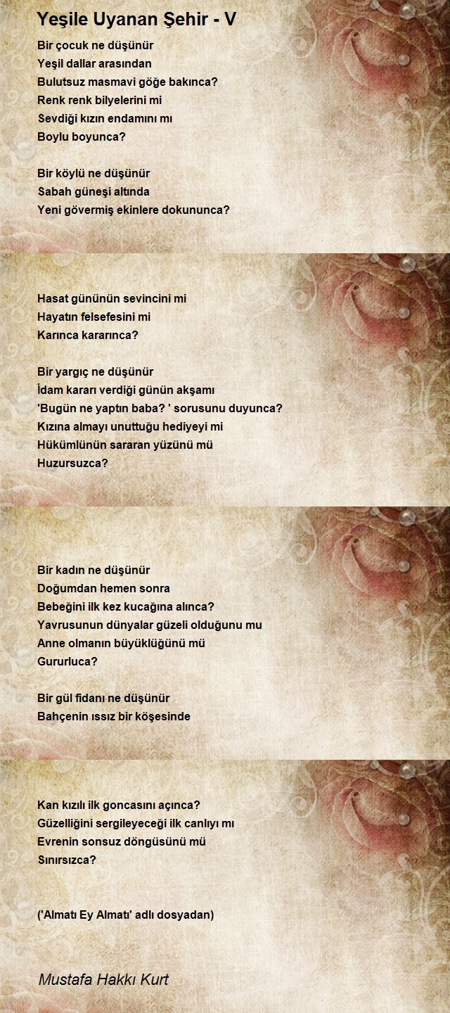 Mustafa Hakkı Kurt