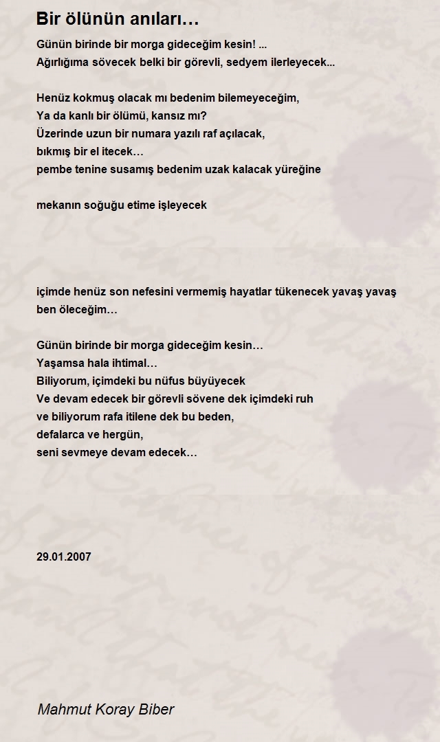 Mahmut Koray Biber