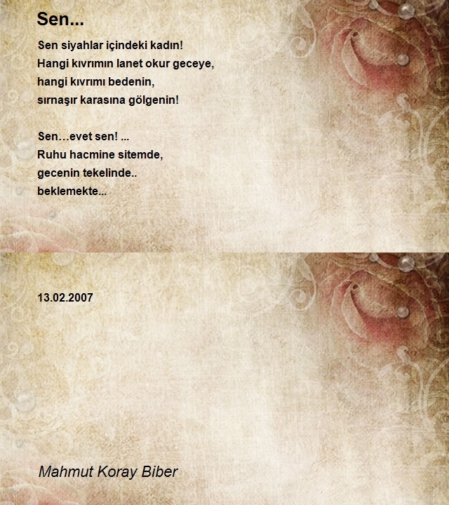 Mahmut Koray Biber