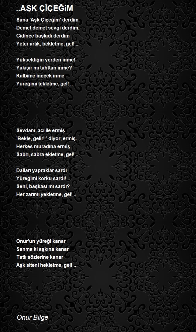 Onur Bilge