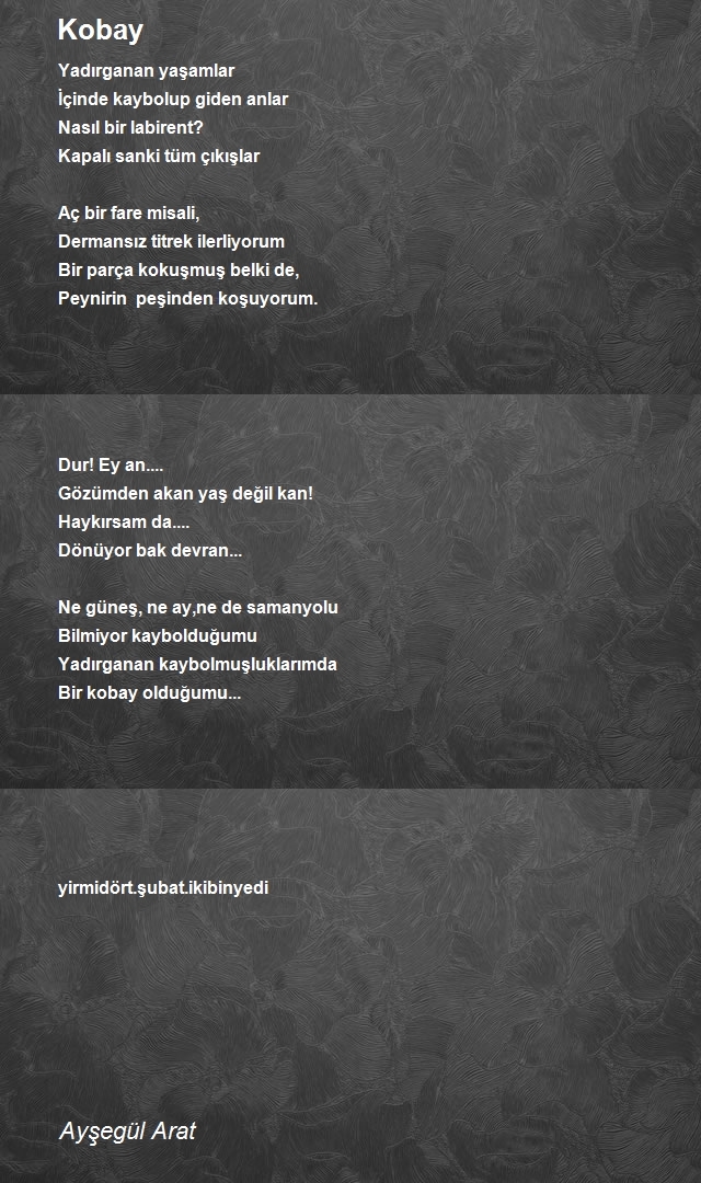 Ayşegül Arat